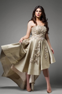 13737010_293507537667103_1869396842_n