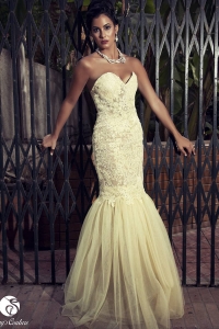 12501537_1129229687147228_1331523354_n