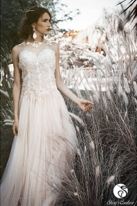 12530642_1679496608958155_74627798_n